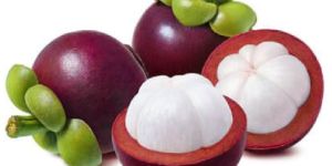 Fresh Mangosteen