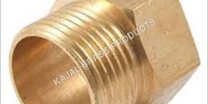 Brass Hex Plug