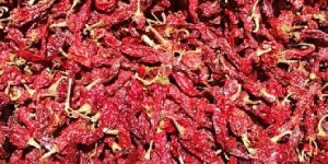 Dry Red Chilli