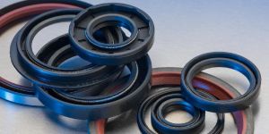 Oil Seal