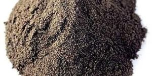 Black Pepper Powder