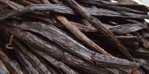 Vanilla Beans