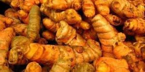 Raw Turmeric