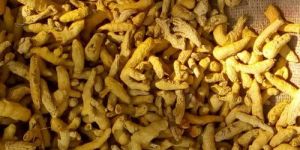 Turmeric Finger