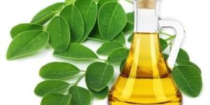 Moringa Oleifera Oil