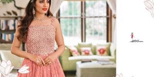 Heavy Embrodried Georgette Gowns