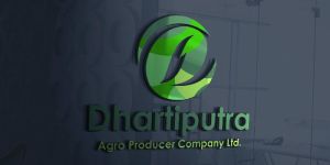 Logo Design Service