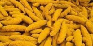 Turmeric Finger