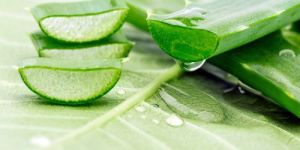 Aloevera Extract