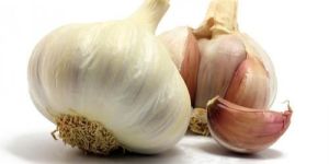 Garlic Extract