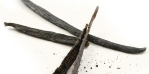 Vanilla Beans