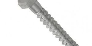 Stainless Steel Coach Screw