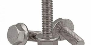 Stainless Steel Hex Flange Screw