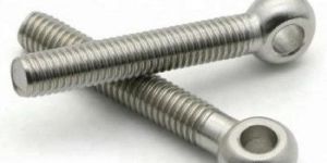 Stainless Steel Swing Eye Bolt / Din-444