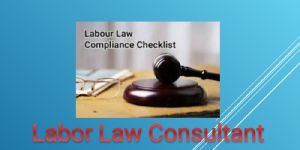 Labour Law Consultancy