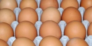 Kadaknath Chicken Egg