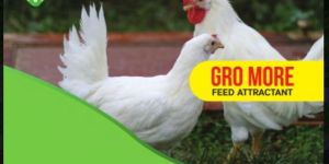 Gro More Liquid Feed Attractant