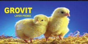 Grovit Layer Feed Premix