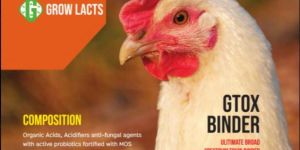 Gtox Binder Feed Premix