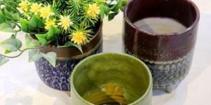 Ceramic Bonsai Planter