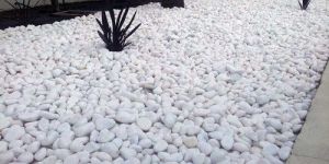 Polished White Pebble Stone
