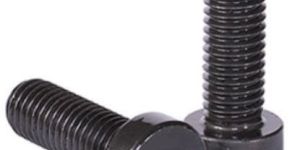 UPS Lakshmi HT Socket Head Cap Screw