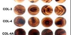 Buffalo Horn Multicolored Button Blanks