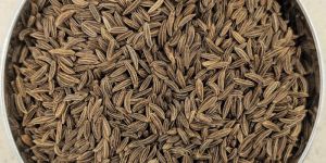 Cumin Seeds