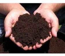 Organic Compost
