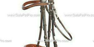 Horse Bridle