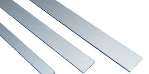 Stainless Steel Strips