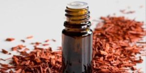 Sandalwood Essential Oil