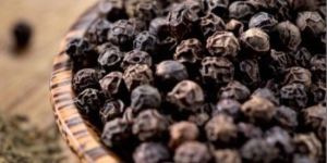 Black Pepper Seeds