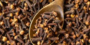 Dried Cloves
