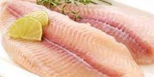 Frozen Basa Fillet
