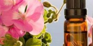 Geranium Oil
