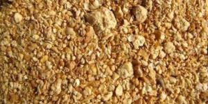 Layer Chicken Feed