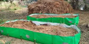 Organic Fertilizer