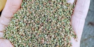 Ajwain Seeds
