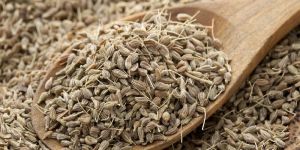 Anise Seed