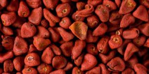 Annatto Seed