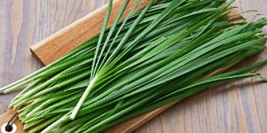 Fresh Chives