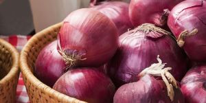Red Onion