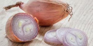 Shallot Onions