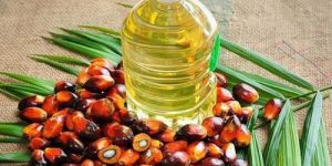 Refined Palm Oil