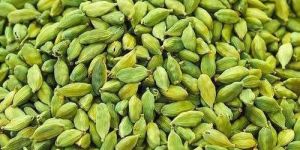 Green Cardamom