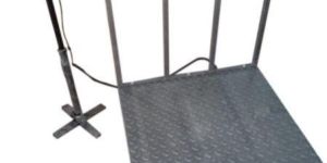 Heavy Duty Platform Scale