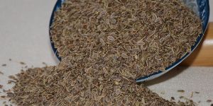 HIgh Quality Dill Seeds