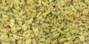 Nashik Yellow Raisins