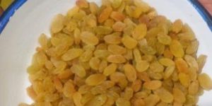 Sweet Golden Raisins